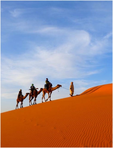 Luxury Tours Morocco