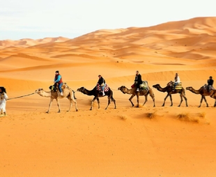 Merzouga Desert