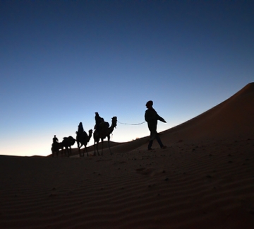 Merzouga Excursion