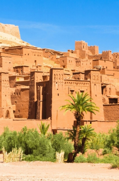 Marrakech Tours