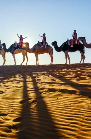 Marrakech Tours