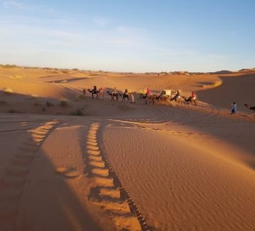 Merzouga Excursion