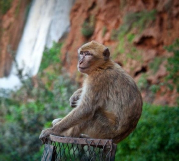 Tour Marrakech