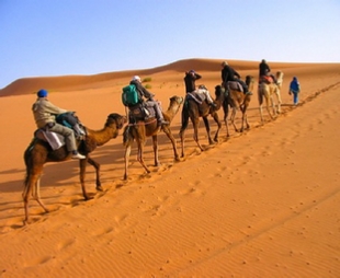 Ouarzazate Tours